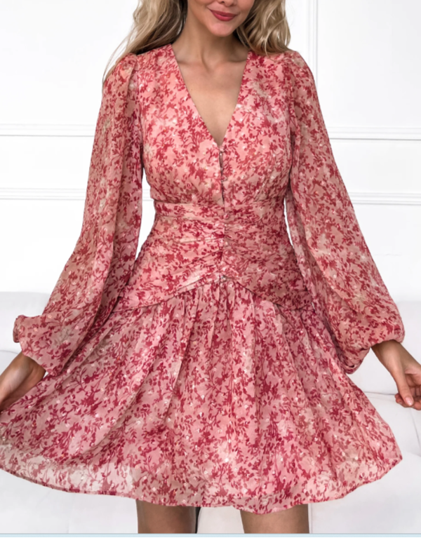 Bella Donna Mini Red Floral Dress